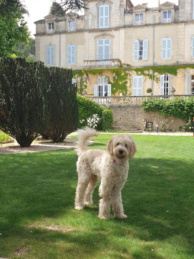 Chateau De Varenne Hotel Sauveterre  Exterior photo